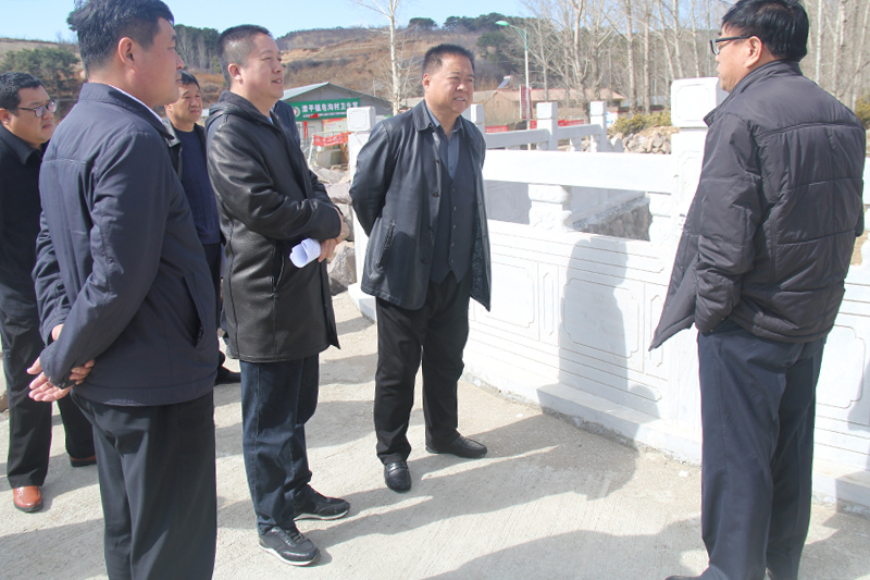 滦平县县长于山检查县城大气污染防治工作